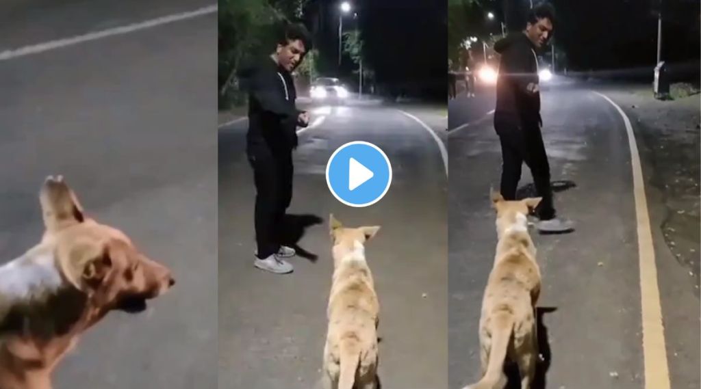 सध्या सोशल मीडियावर एका व्यक्तीचा भन्नाट व्हिडीओ व्हायरल होत आहे. (Photo : Instagram)