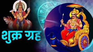 29 December Shukra Planet Transit In Shani Rashi Makar These Zodiac Sign Get More Money Profit and Dhan Labh
