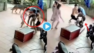 Video Huge Python Bites On Man Nose Eaten In Front of Whole Family Shocking Video Goes Viral