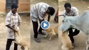 Viral Video of Dog