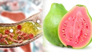 guava for cholesterol control