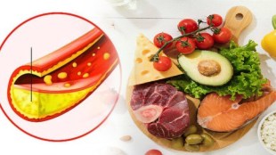 how to control cholesterol level