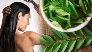 curry leaves for hair