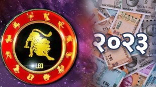 leo sun sign yearly horoscope