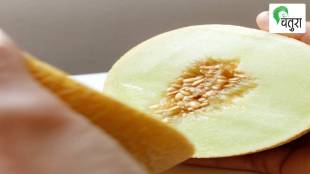 melon is fruit that good for acidity is yellow in color juicy tasty and cool