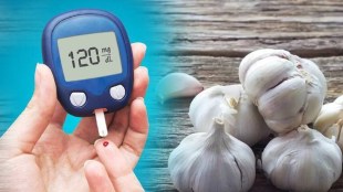garlic for diabetes patients