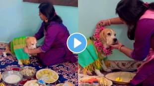 Cute viral Video women arrange baby shower for her pet dog this sweet gesture wins internet has 5 million views