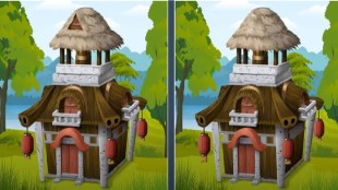 Optical illusion can you find 5 differences in this picture take a challenge