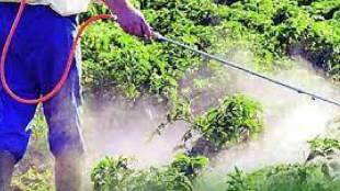 pesticide smuggling connection in madhya pradesh