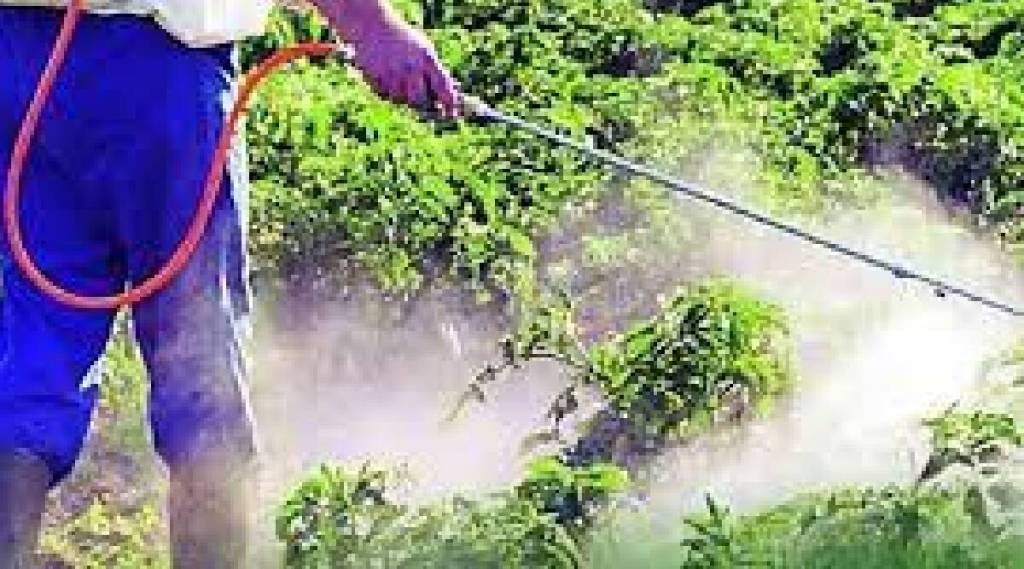 pesticide smuggling connection in madhya pradesh pesticide smuggling connection in madhya pradesh