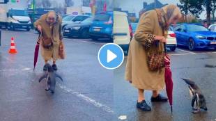 Viral Video penguin walks up to an elderly woman in the parking lot their conversation will surprise you