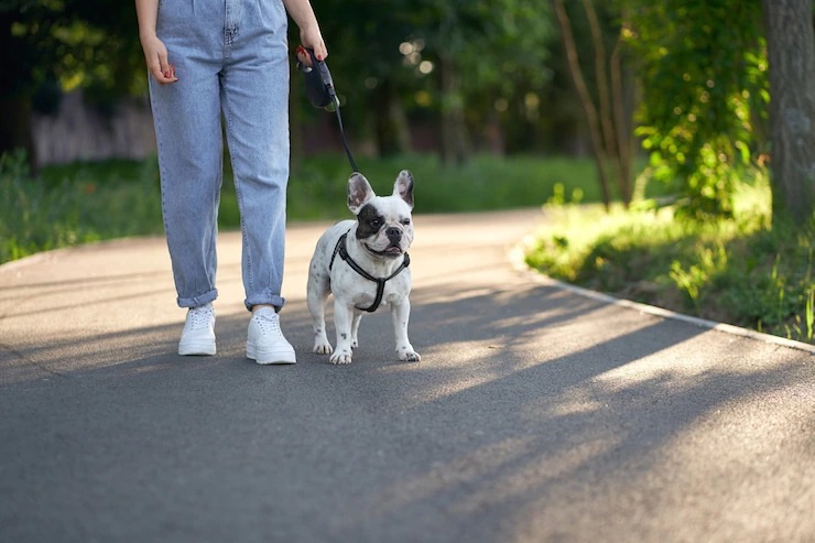 Walking After Dinner benefits