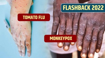 Tomato Flu