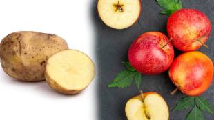 Why do Potato Apples turn Brown After cutting know the scientific reason behind it