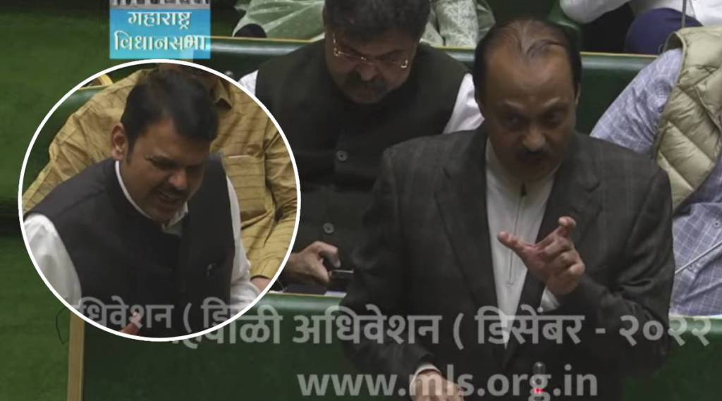 ajit pawar devendra fadnavis (1)