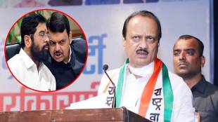 ajit pawar devendra fadnavis eknath shinde