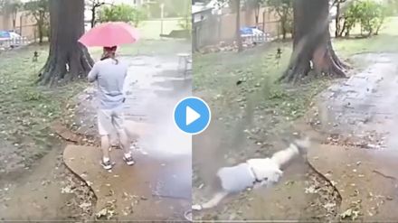 Man saved from tree branch