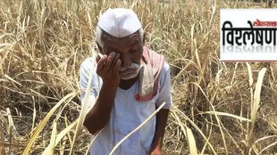 crop insurance schemes