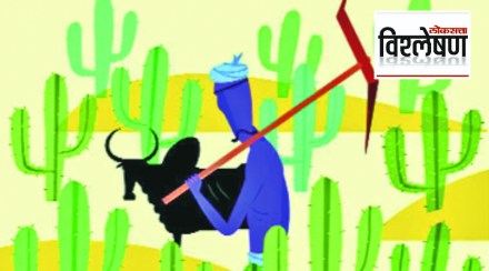 farmer sucide vishleshan