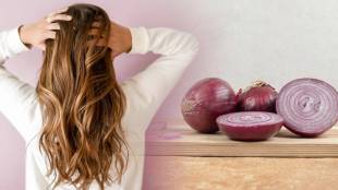 onion for haoir fall