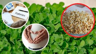 benefits of eating fenugreek methi in winter
