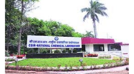 sandalwood tree stolen from ncl sandalwood tree stolen from ncl