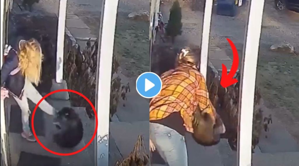 raccoon attacked viral video