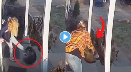 raccoon attacked viral video