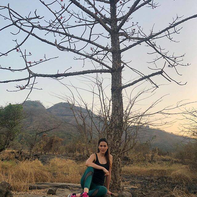 salman khan farmhouse 22