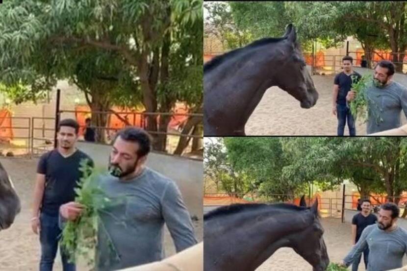 salman khan farmhouse 3