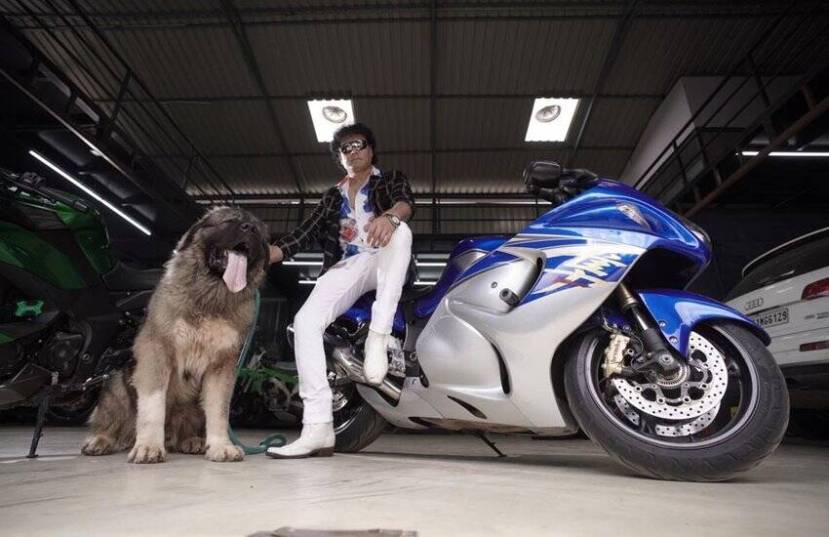 Richest Animals Photos 20 Crore For Caucasian Dog Taylor Swift Cat Priced 800 crores See Lavish Photos Of These Animals 