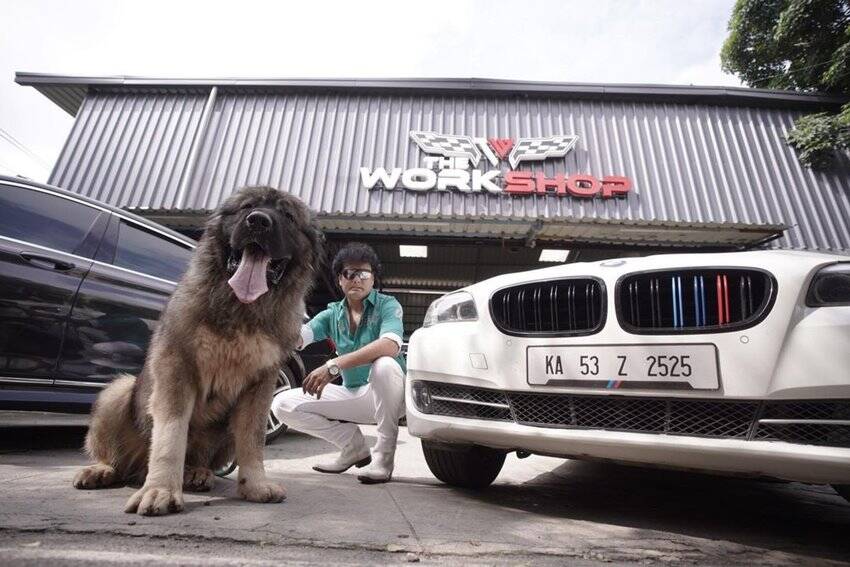 Richest Animals Photos 20 Crore For Caucasian Dog Taylor Swift Cat Priced 800 crores See Lavish Photos Of These Animals 