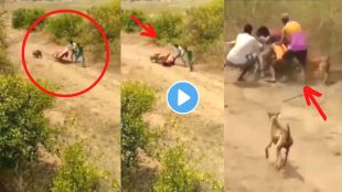 Boys trapped wild boar video viral on Instagram