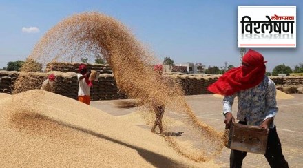Govt announces free foodgrains in 2023, but what’s the economics and politics underlying the promise?