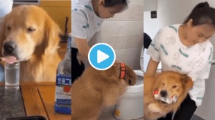 Viral Video Drunk Dog Creates Scene Goes Mad In party Share With your Friends Viral Animal Videos Trending