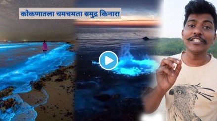 Video Konkan Tourism Blue Glowing beach Bio Illumination Why Does Waves Look Blue And Glittery Konkani Ranmanus Video Konkan Tourism Blue Glowing beach Bio Illumination Why Does Waves Look Blue And Glittery Konkani Ranmanus