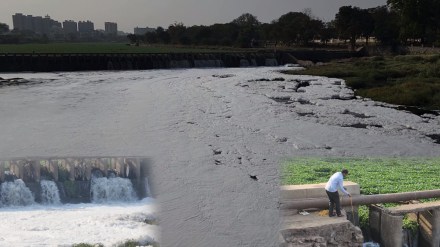 indrayani river, pollution, Pune, Alandi, Maharashtra Pollution Control Board