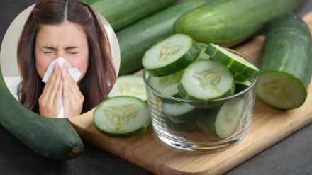 cucumber eating in winters