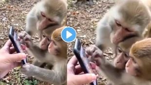 Monkey Using Mobile Viral Video On Twitter