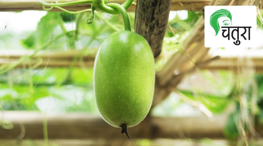 ash or wax gourd, healthy