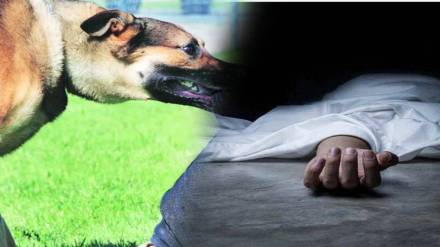 65 year old farmer calls neighbours pet dog a dog gets killed Shocking Murder Case Goes Viral