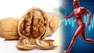 soaked walnuts benefits