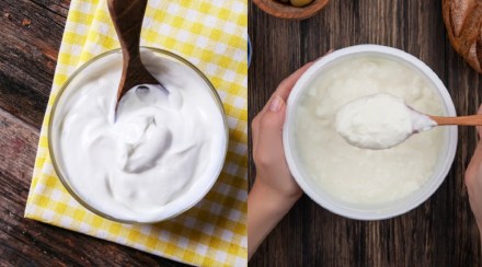 what is the diffecrence between yogurt and curd