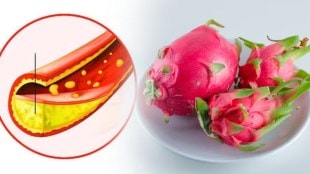 cholesterol control tips