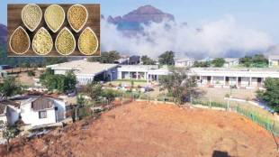 MTDC tourist accommodation