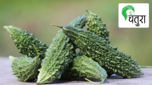 bitter melon, bitter gourd