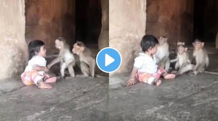 Toddler plays with monkeys watch adorable Viral video