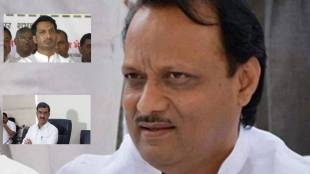 Ajit Pawar on Parth Pawar