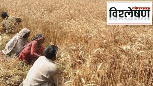 Wheat Crisis in Pakistan