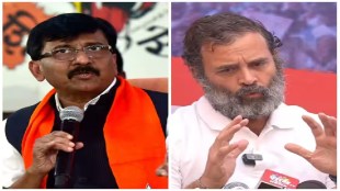 Sanjay Raut and Rahul Gandhi